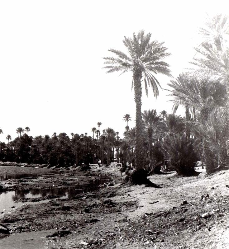 Colomb Bechar 057-collection Monneret.jpg